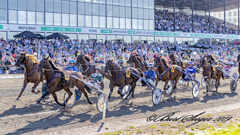 Dumbo Derby Sidste Omgang 2019