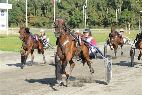 Tøsen Højgård_Ole Hindby