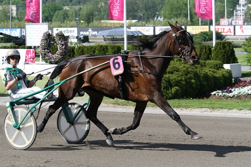 Salina_Solvalla_Carsten Rabjerg