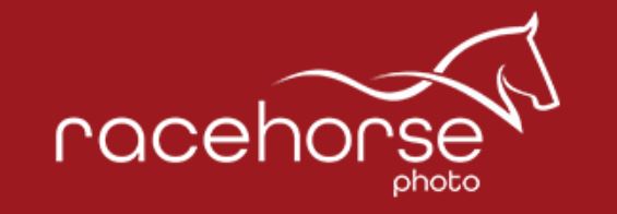 Racehorse Photo Logo